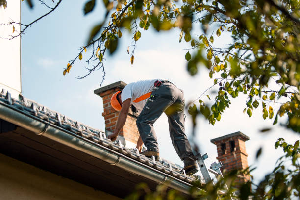 Quick and Trustworthy Emergency Roof Repair Services in West Brownsville, PA